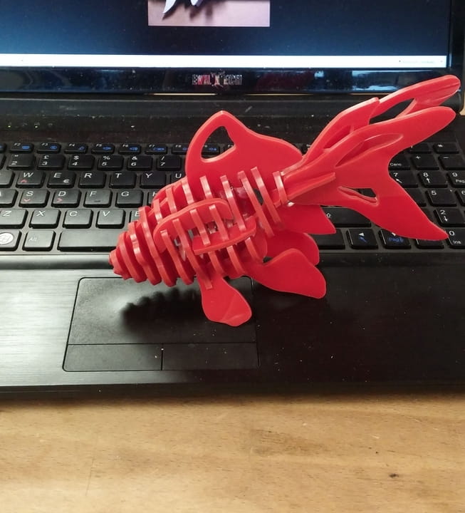 Laser Cut Goldfish 3D Wood Puzzle