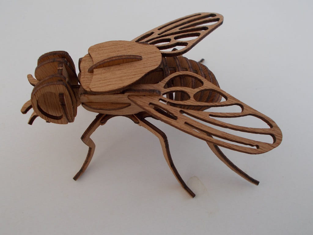 Laser Cut Fly 3D Wooden Puzzle