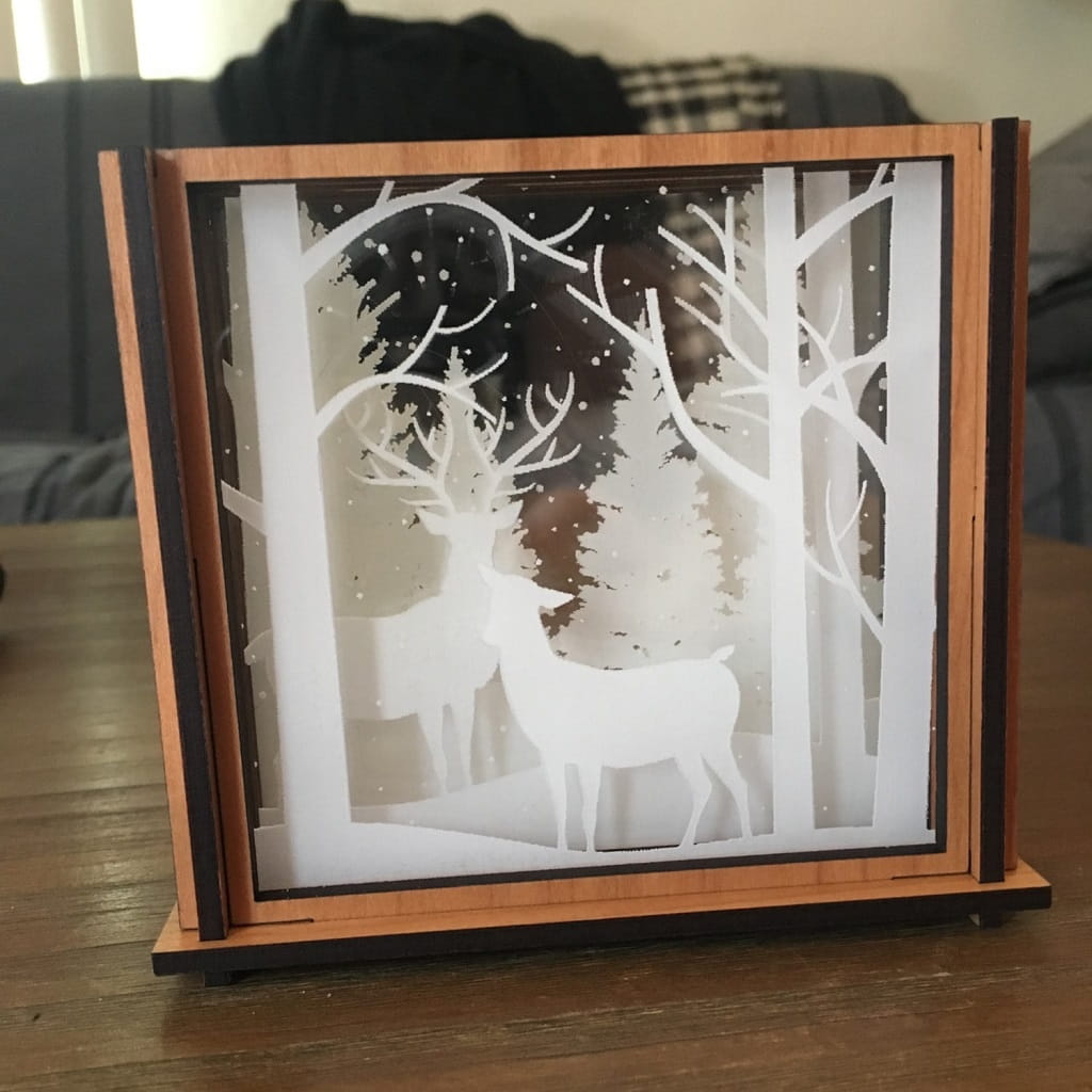 Laser Cut Shadow Box Acrylic Coasters