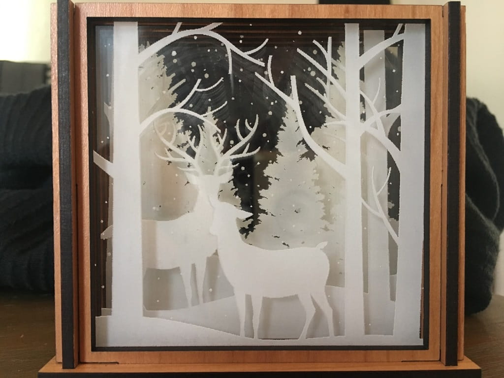 Laser Cut Shadow Box Acrylic Coasters