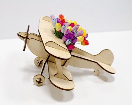 Laser Cut Airplane Model Flower Pot