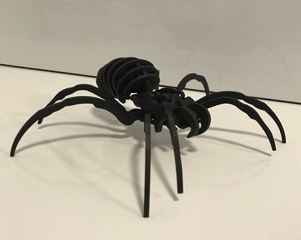 Laser Cut Spider 3D Puzzle Wood Model