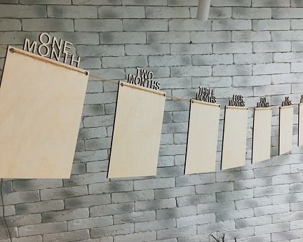 Laser Cut FIrst Birthday Banner 12 Month Baby Photo Banner