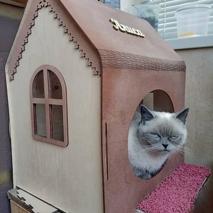 Laser Cut Wooden Pet Cat House